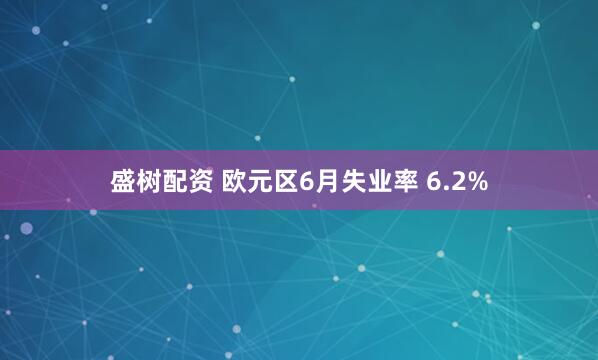 盛树配资 欧元区6月失业率 6.2%