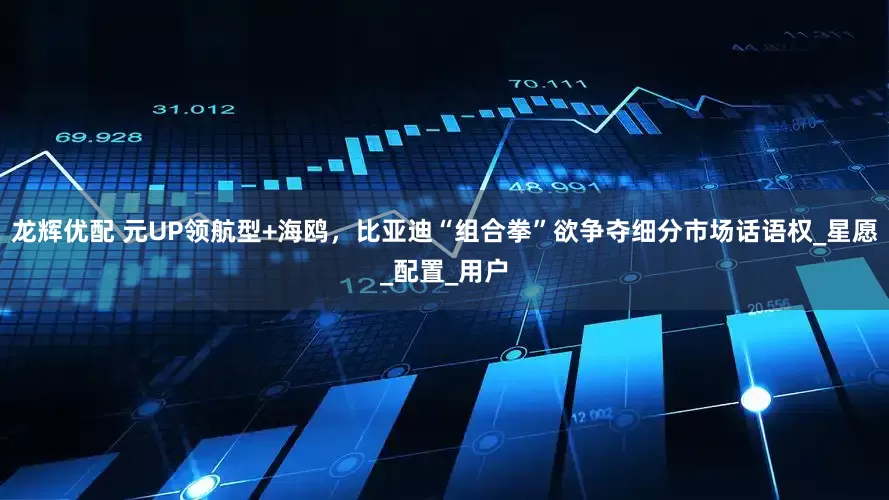 龙辉优配 元UP领航型+海鸥，比亚迪“组合拳”欲争夺细分市场话语权_星愿_配置_用户