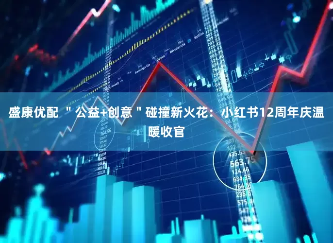 盛康优配 ＂公益+创意＂碰撞新火花：小红书12周年庆温暖收官