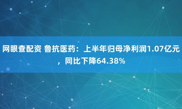 网眼查配资 鲁抗医药：上半年归母净利润1.07亿元，同比下降64.38%