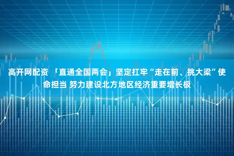 高开网配资 「直通全国两会」坚定扛牢“走在前、挑大梁”使命担当 努力建设北方地区经济重要增长极