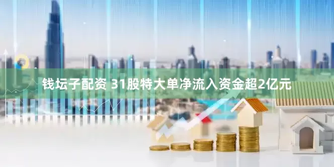 钱坛子配资 31股特大单净流入资金超2亿元